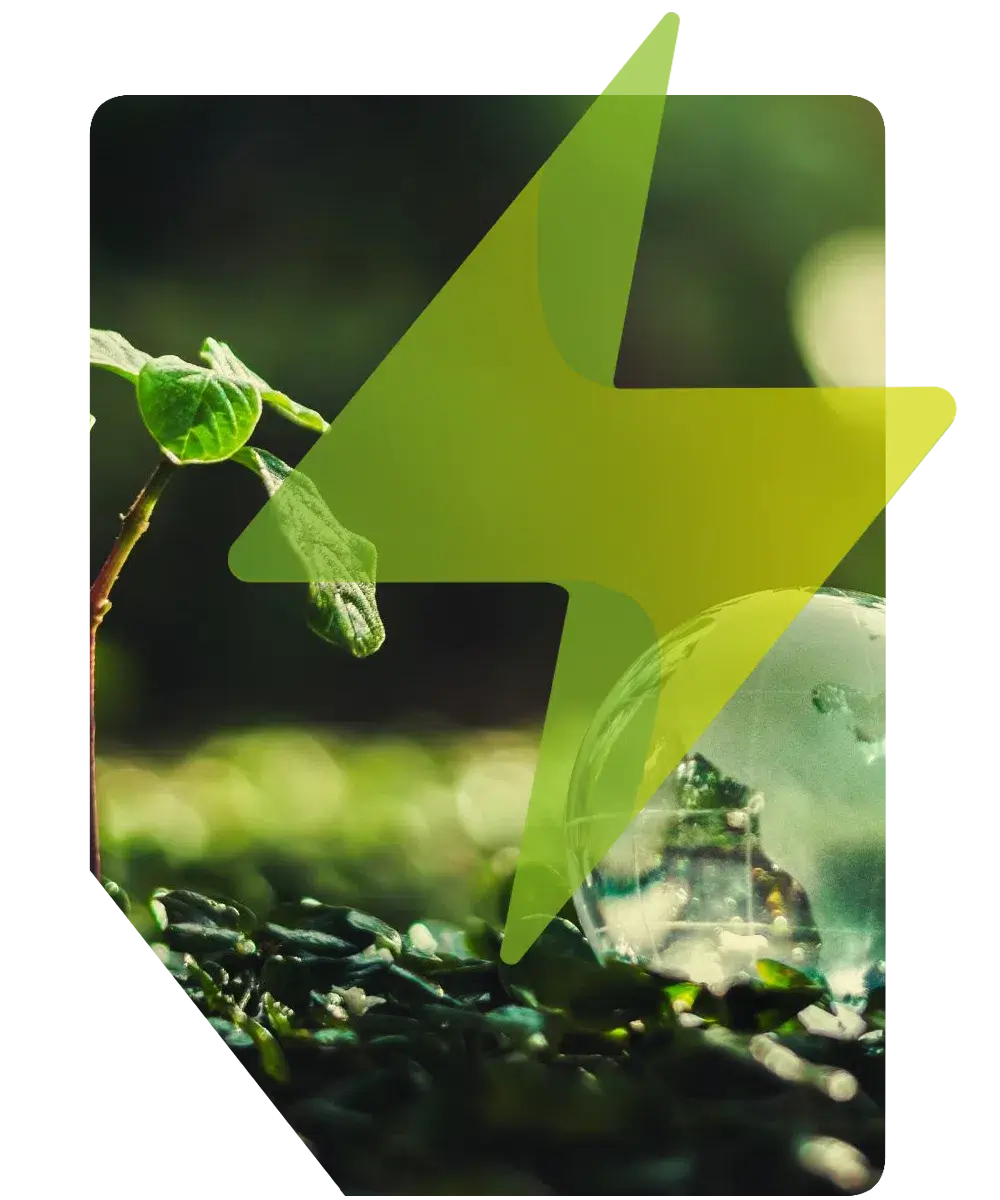 Solar energy services in Cambridgeshire