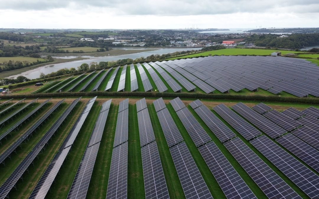 Point Lane – Farming Case Study