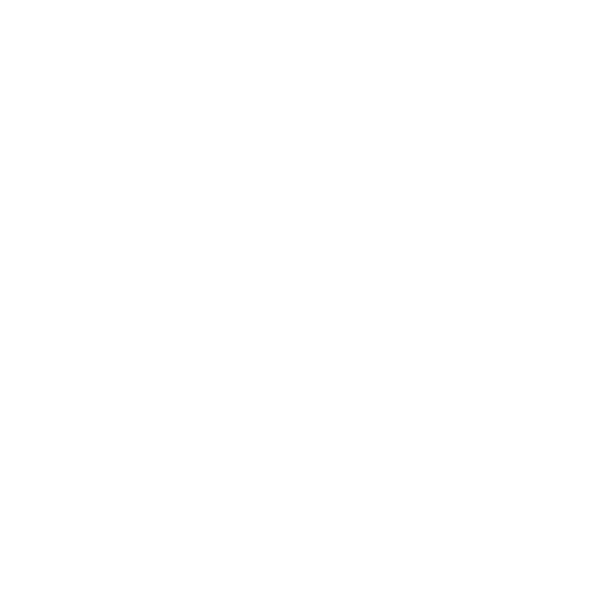 Checker icon