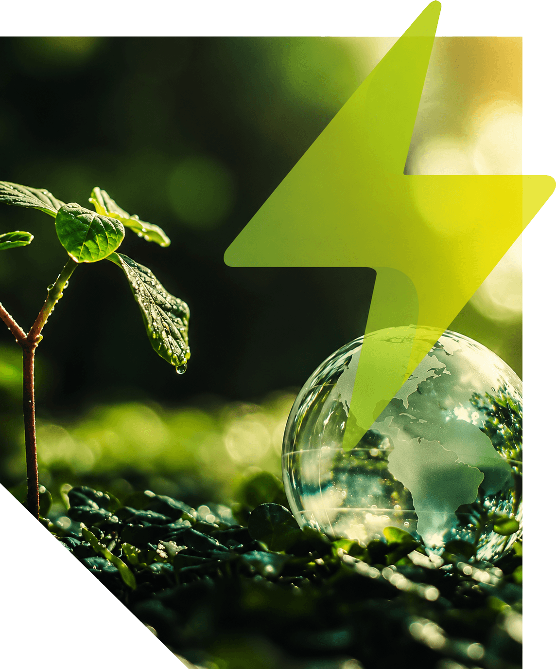 Net-zero-carbon-goals-with-solar-PV-solutions