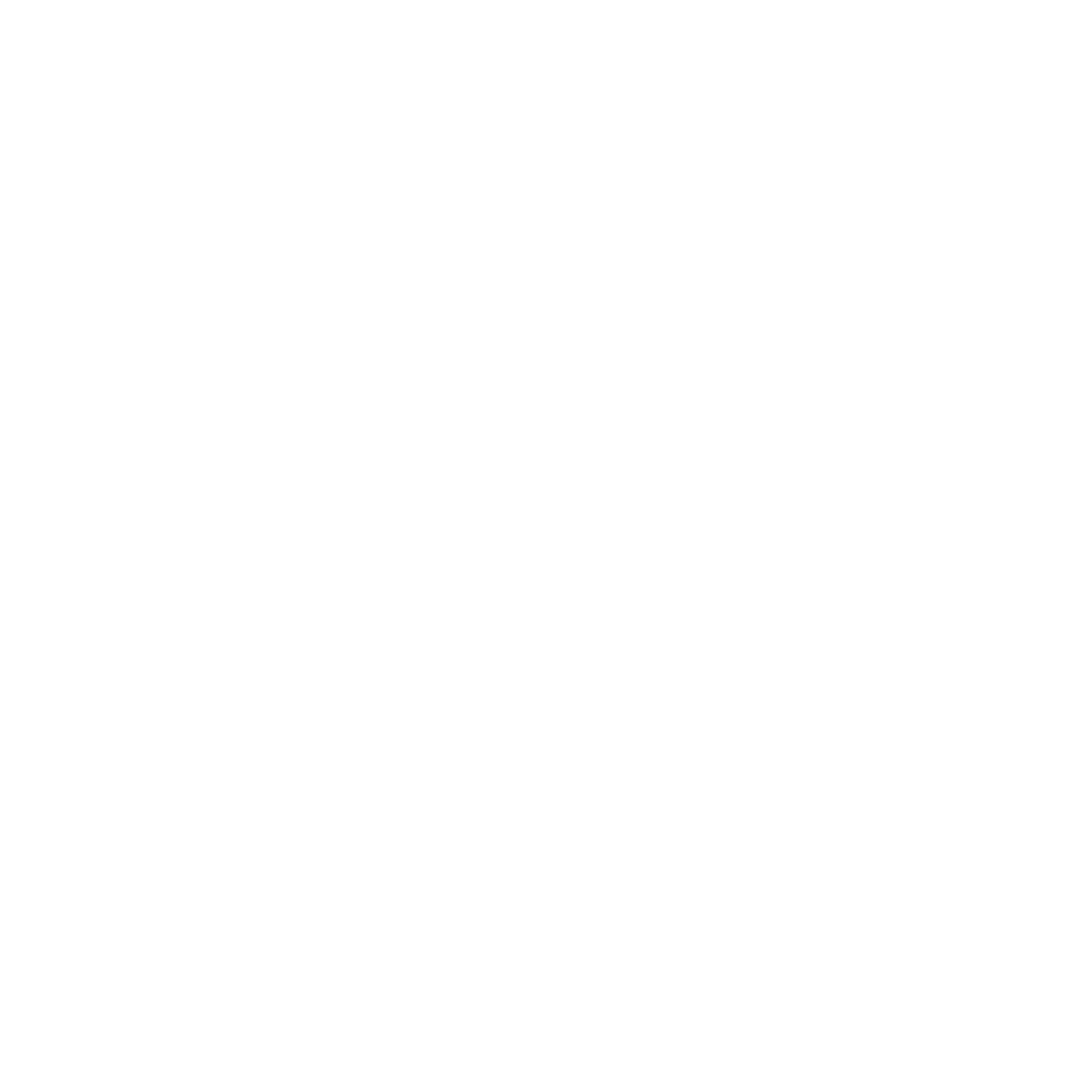 All Icons - White_Car Charge
