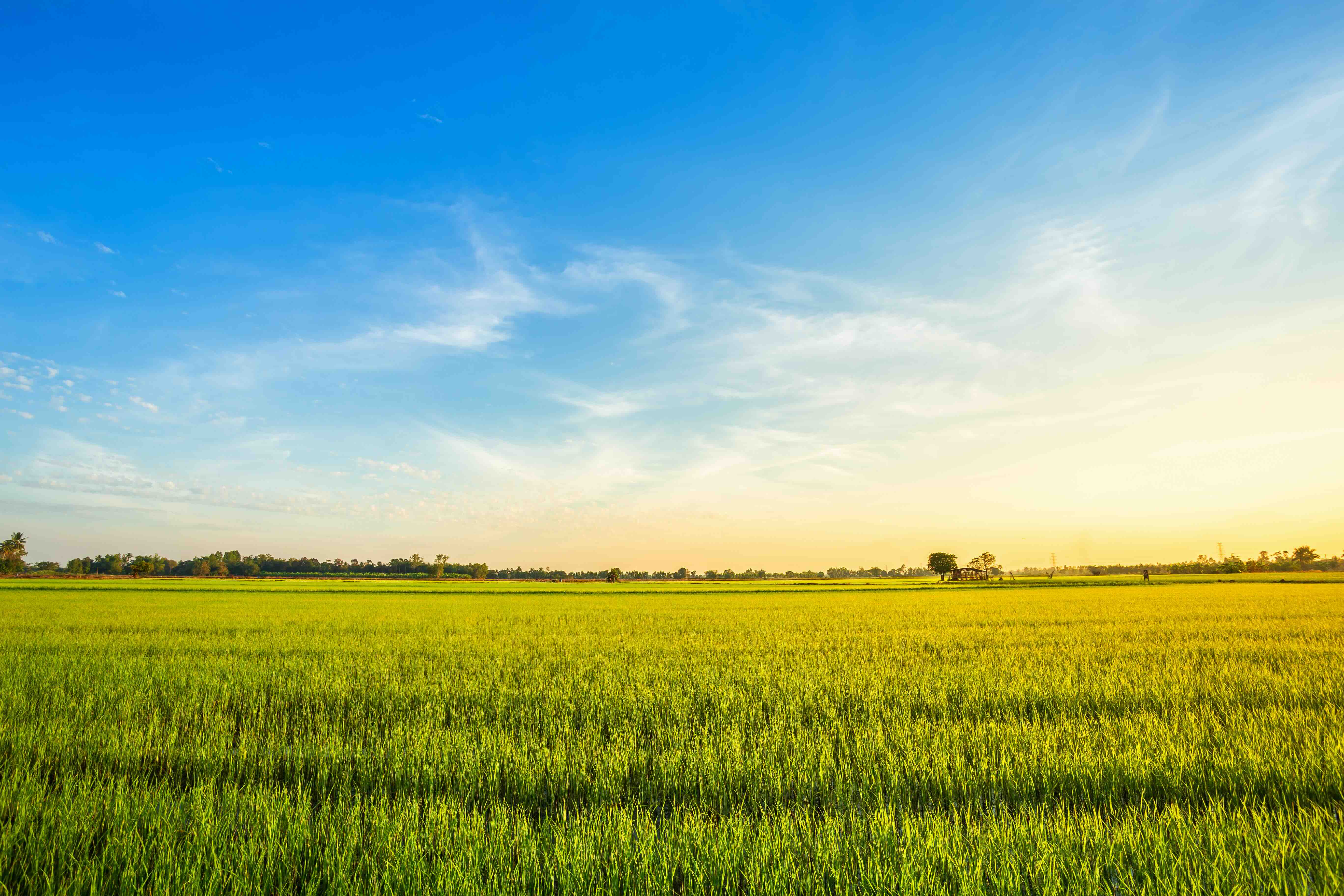 Net Zero Carbon Guide Shawton Energy