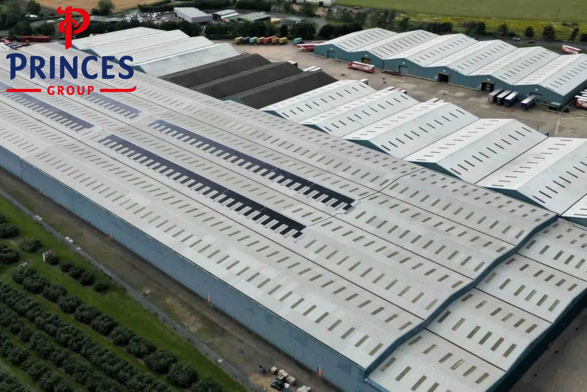 Princes group case study